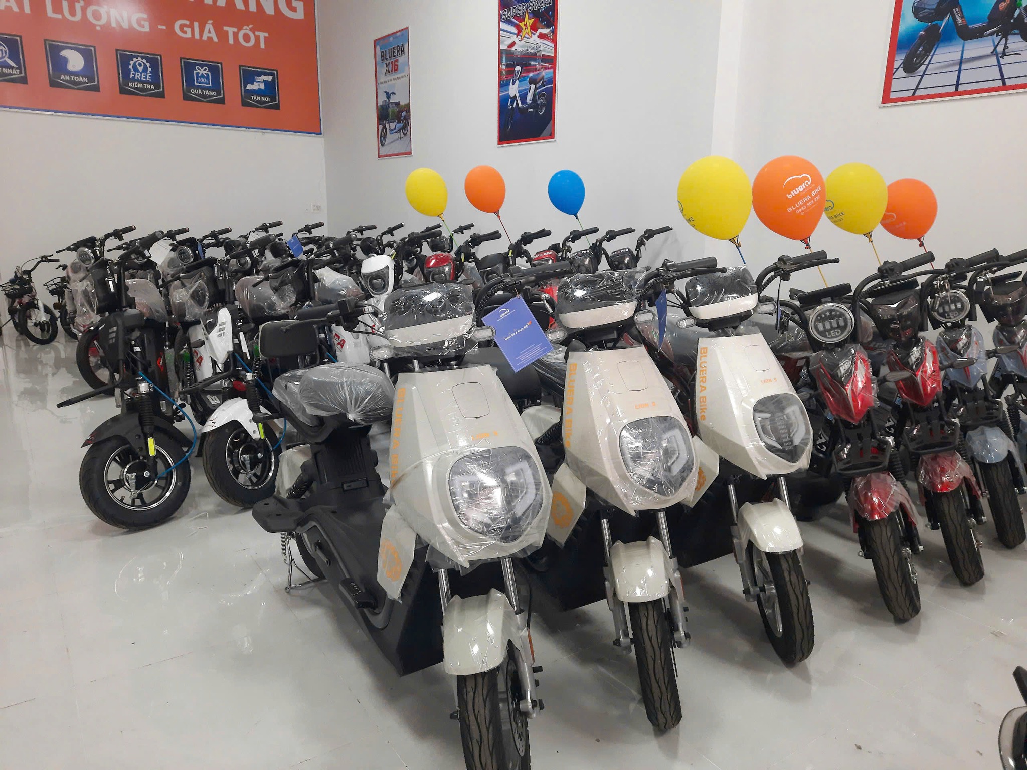 Xe điện Bluera Lion S Mạnh mẽ & Thể thao đúng chất “S” 2 Mẫu mã đa dạng, nhiều màu.